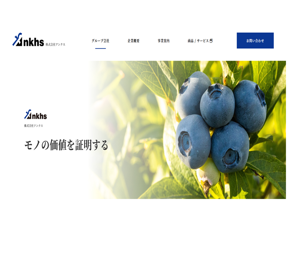 株式会社アクシス