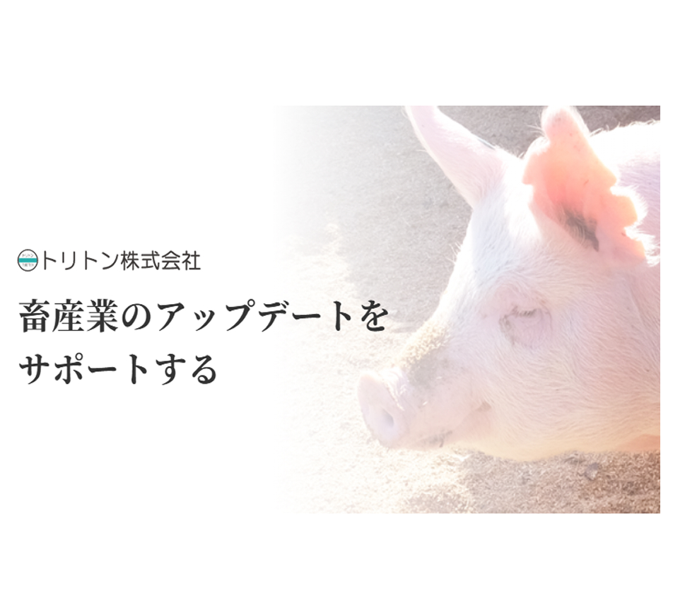 トリトン株式会社